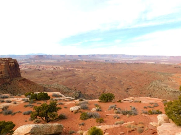 996F11335A0E54833AE597