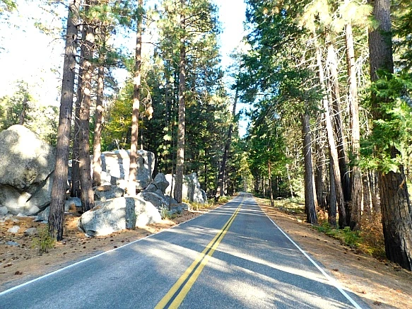 9951F84A5BDBD98E153822