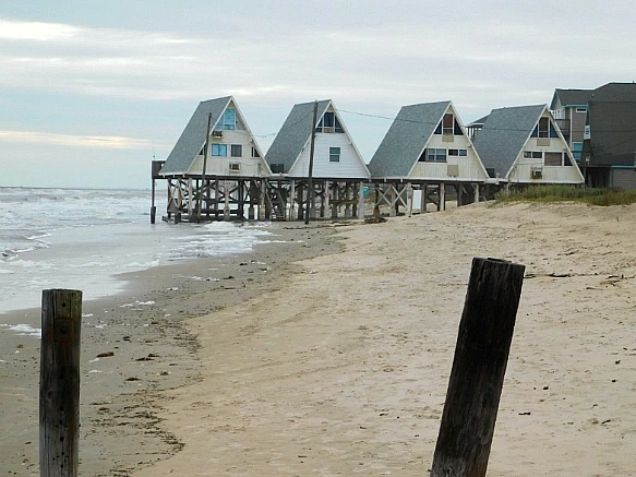 99E415365BF76E1829FF95