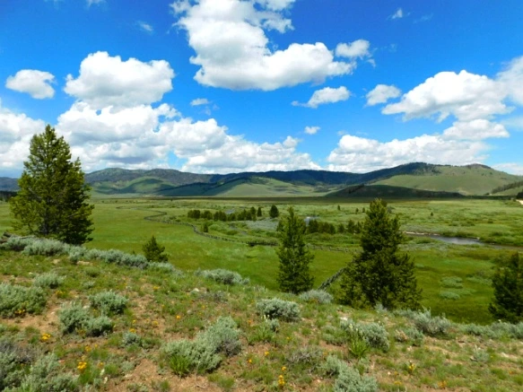 998A6F3A5B2F252630C992