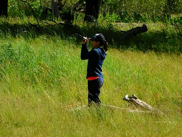 2439F53657736C66127345