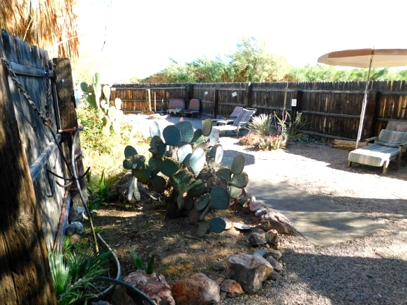 99E46D335A25F55536A4F2