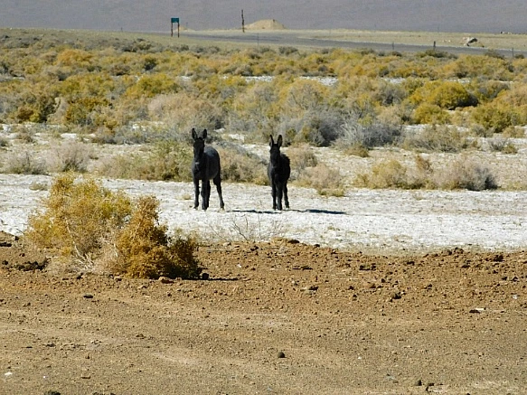 99A5A63E5BD132A30A1D36