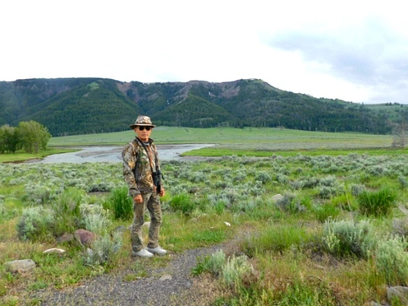 9933D5385B3AF339366A3D