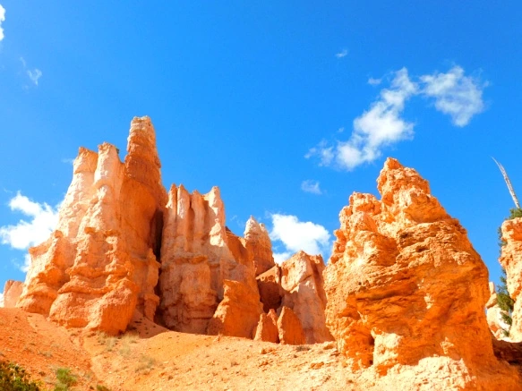 99A2C13359B9B8DE1D8B9E