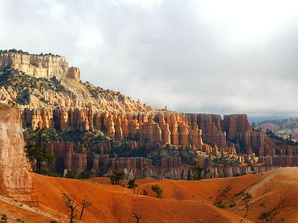 99B687435BC569D02B8D49