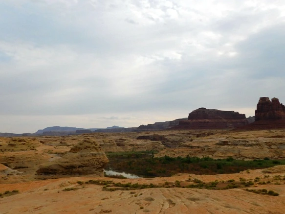 99B2B73359B5E70F16C691