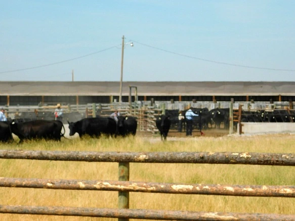 99E14433599F9D5E13ADA7