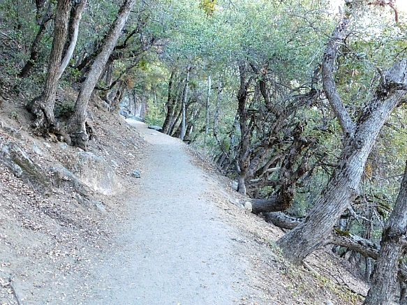 9993B3415BD9137D018126