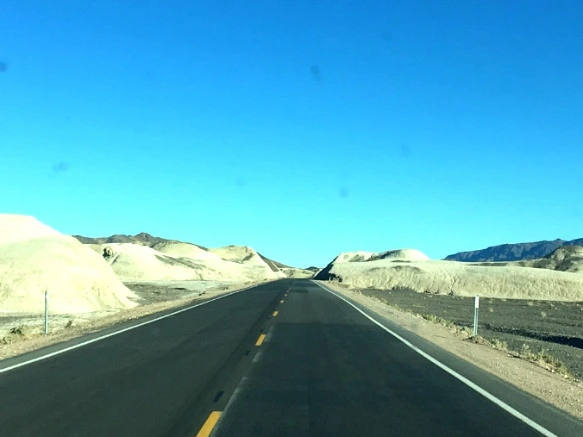 99D021335A21DE9F1E1941