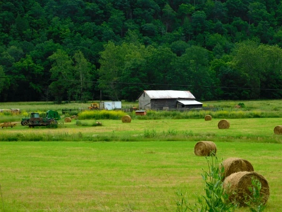 250F6943594C9025164B3A