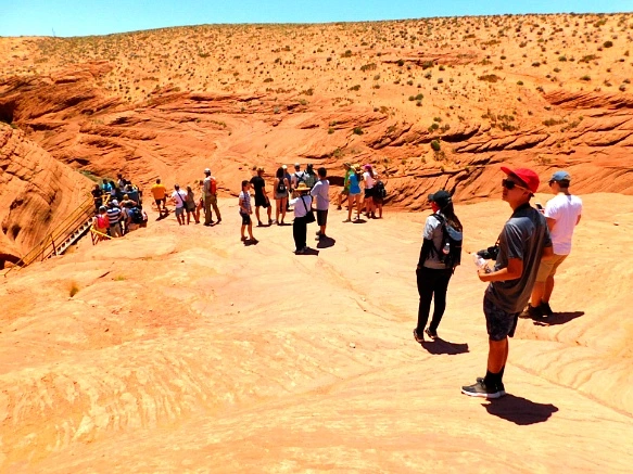 2367E43D576A002A0129F8