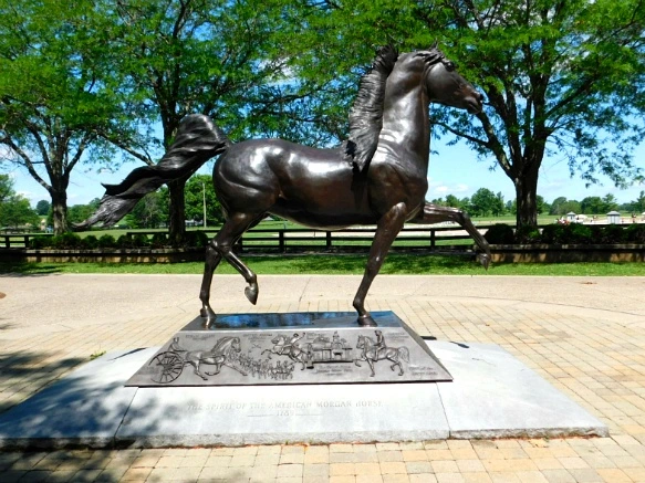 26B42A33597D16E728ACBD