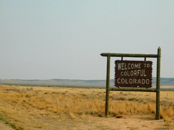 99D7163359B1EDD0294D3D