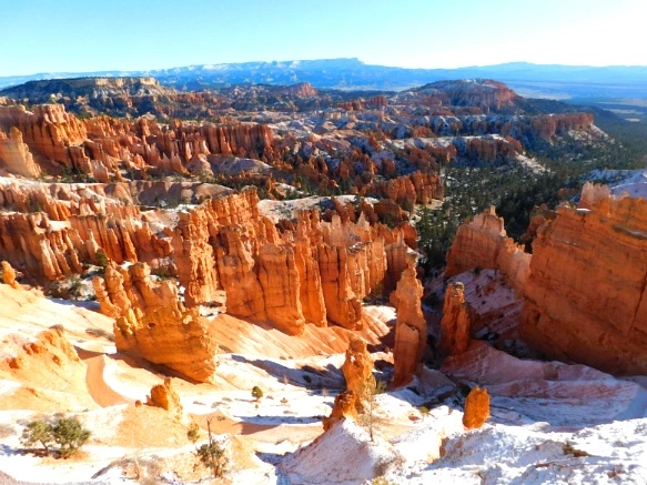 9960DE335A1A38832C2F23