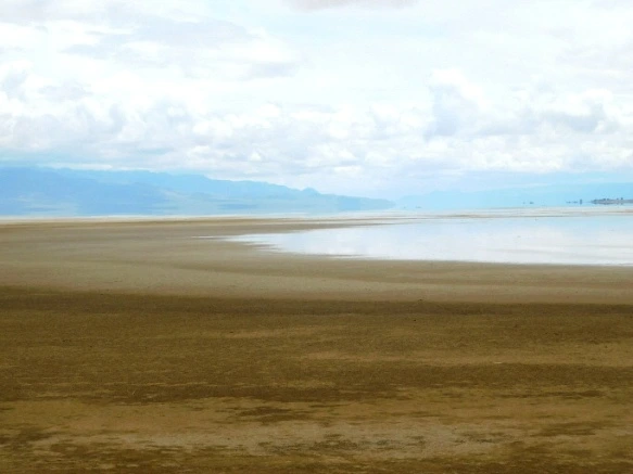 9935C7435B2DDE131AA52F