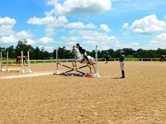 26352A33597D17302B3774