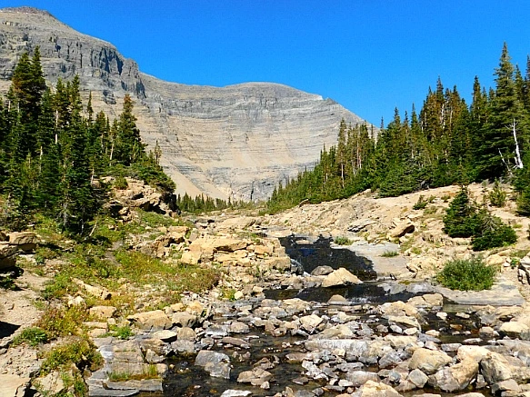 99A5B2475B95AD1A22D9BD