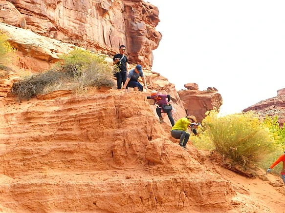 99223E4F5BBC2D0D0B4FC9