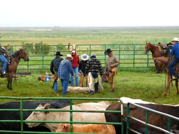 99FE6C485B2DDE2407CB3E