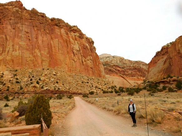 99F2C7335A13BB1326FA14