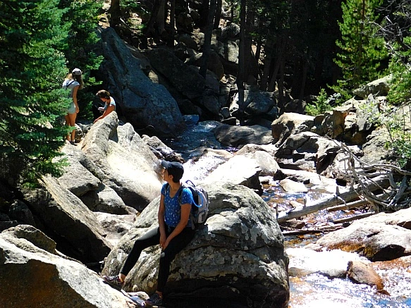 9914184A5B74CDA32E8E0D