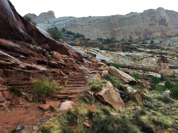 99136D3359B7512C2C43A2