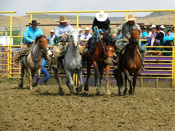 99D72D395B7F818532E60A