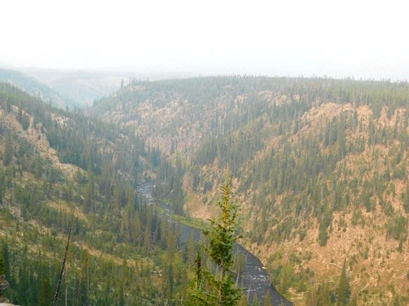 994A163359AF100229A608