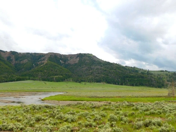 995580385B3AF30603C70B