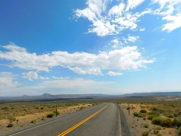 9923F33359A77A0513F25F