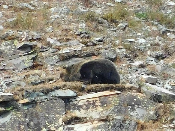 99D9873C5B949F3D1AF83C