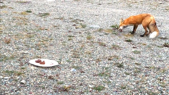 99E6BD445B95EEED239B83