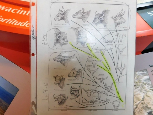 9966EF4F5B4806961F5AD7