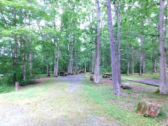 255A504D595020102855AD