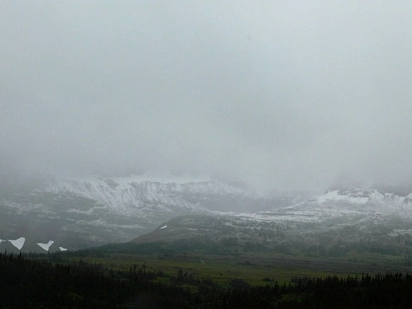 9953564A5B8DC5DD1113C7