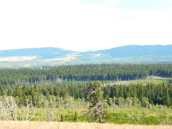 9998EA3359A0FBAF01A73B