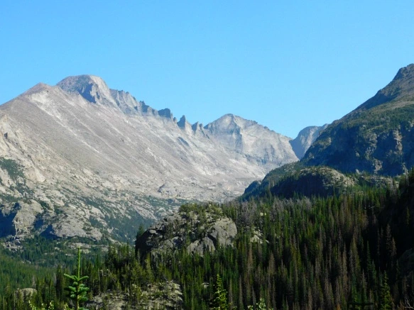 99AA604E5B7266DC0647D8