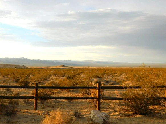 2311FC3A577B02D8076B59