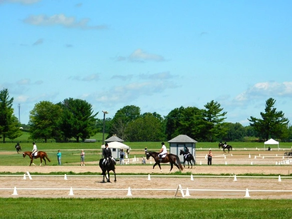 271A1233597D16E9269E8E