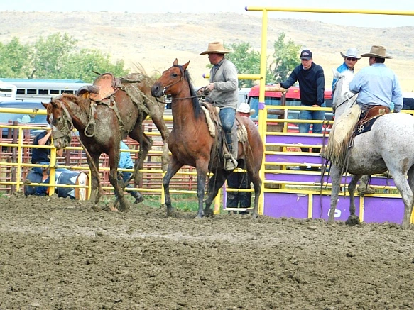 999BA73C5B7F81B7057D40