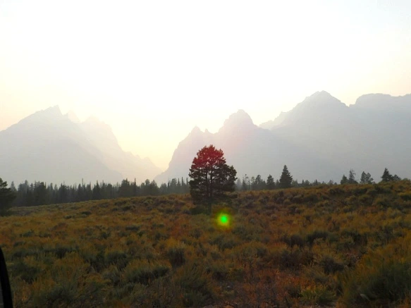 995AC33359B1EA80248749