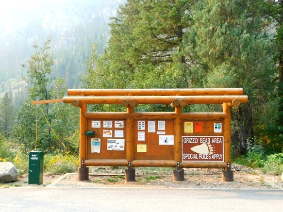 99BD733359B1EA8D1F7BA3