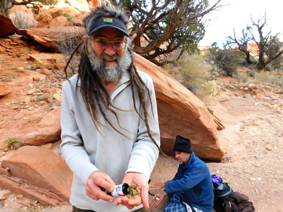 996C82335A18D521211DE3