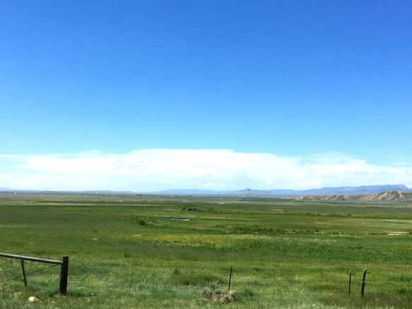 99A2E0465B29F761148897