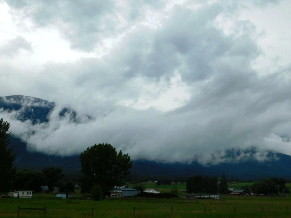 991CE33A5B2F2AB70E3A86