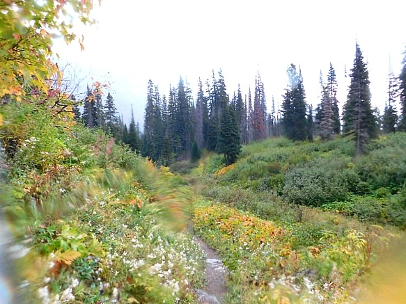 99A908385BAAFE4B15E4CD