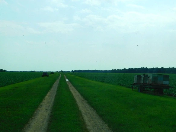 997745395B5FC3A9193656