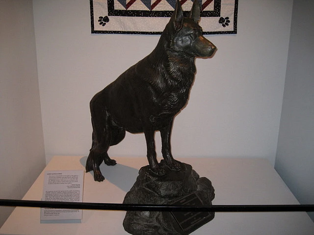 196DDB324C6EC9D2103DF4