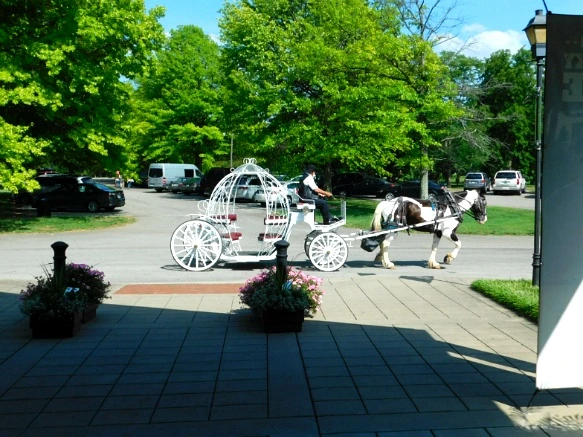 2153EF3959484FC72D871E